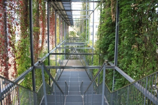 MFO Park, Zurich, walkways